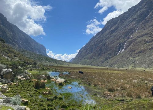 Trekking